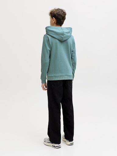 Otroški pulover s kapuco za fante Bradle