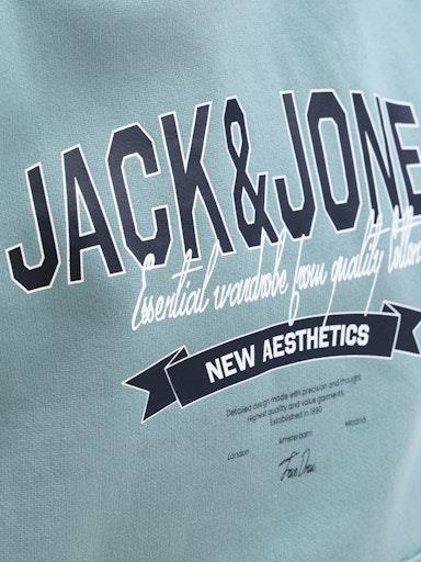 Otroški pulover s kapuco za fante Logo