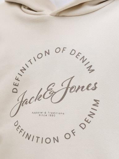 Otroški pulover s kapuco za fante Grayso