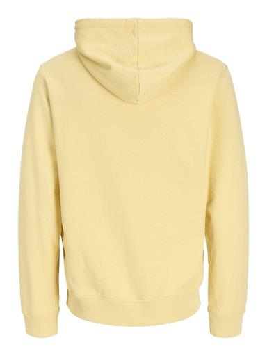 Otroški pulover s kapuco za fante Colleg