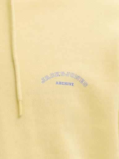 Otroški pulover s kapuco za fante Colleg